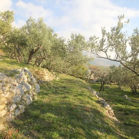 Konukevi & Marigold Baška Voda